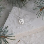 Product Image from the Gallery