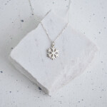 Product Image from the Gallery