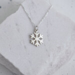 Product Image from the Gallery