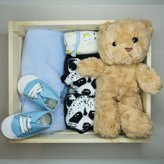 Image of Blue Racoon 3-6