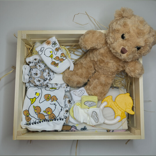 Image of Bears meet Duck