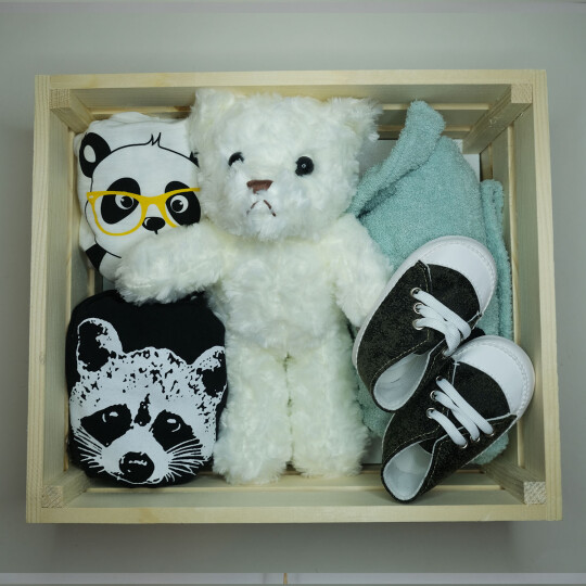 Image of Racoons, Bears and Pandas