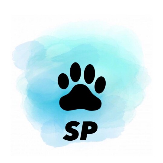 Logo of SP