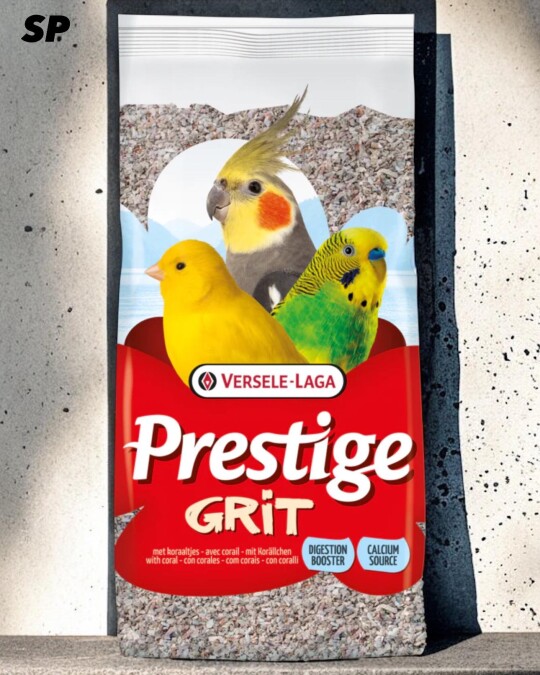 Image of Versele-laga prestige grit 2.5кг