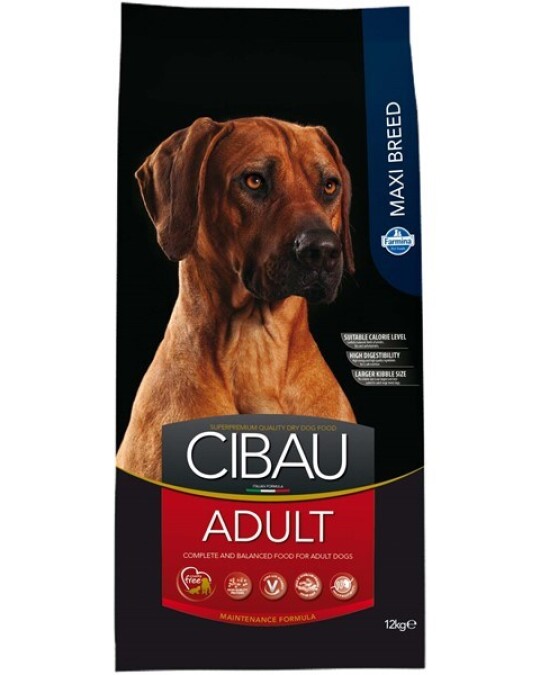 Image of Cibau Adult Maxi