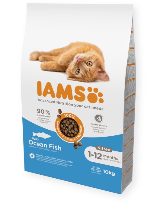 Image of IAMS Kitten со океанска риба [Вреќа 10кг]