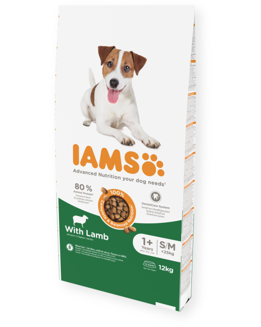 Image of IAMS Adult Small/Medium Breed со јагнешко месо [Вреќа 12кг]