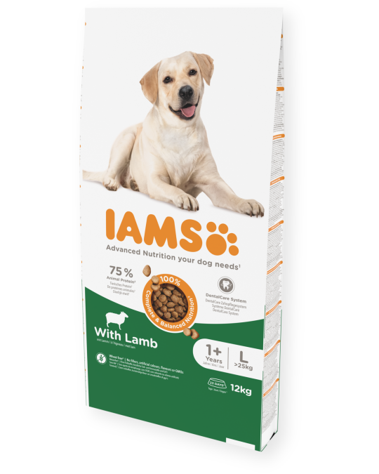 Image of IAMS Adult Large Breed со јагнешко месо [Вреќа 12кг]