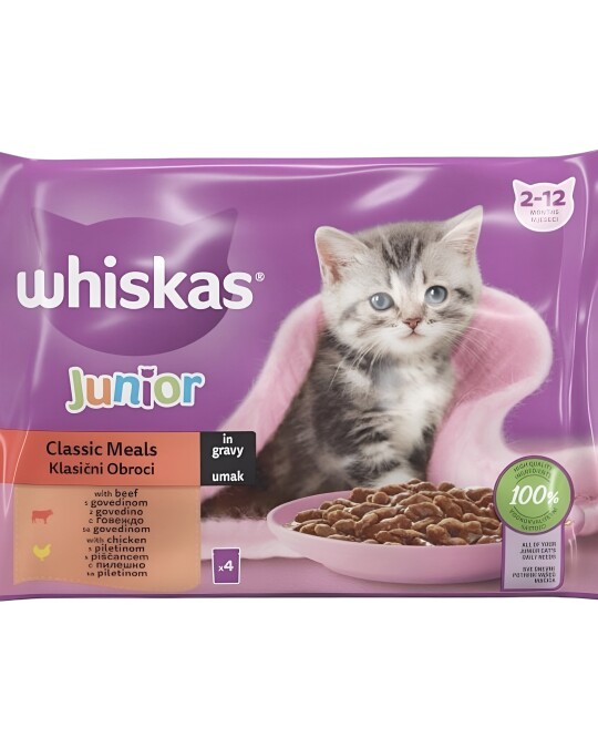 Image of Whiskas Junior Касероли со Пилешко, Мисирка, Патка, Живина во желе [Кесичка 4×85гр]