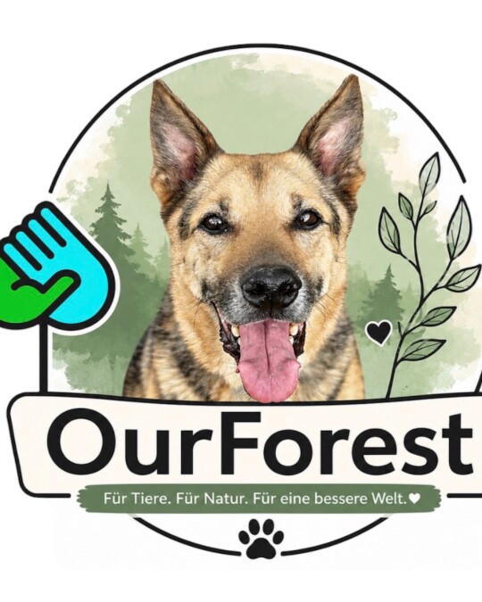 Image of OurForest