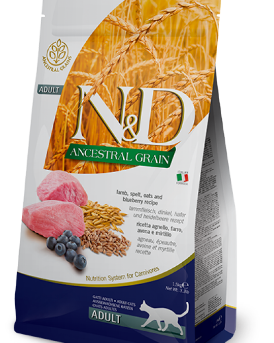 Image of N&D Ancestral Grain Lamb & Blueberry Adult