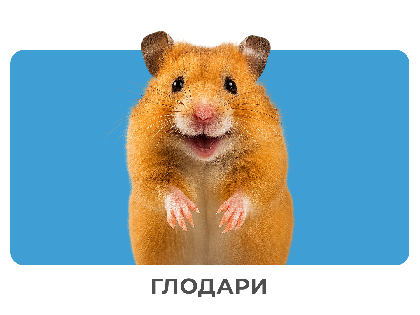 Promotional Image