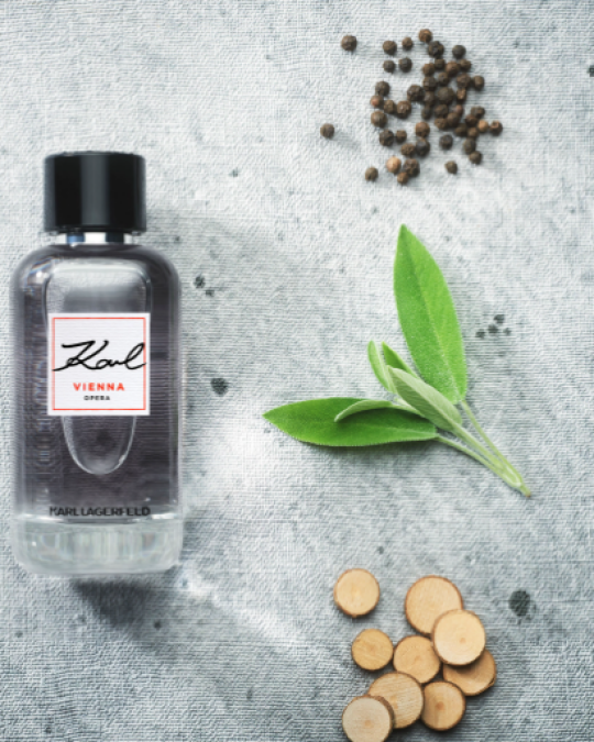 Image of KARL LAGERFELD Vienna Opera Homme тоалетна вода за мажи