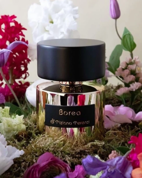 Image of TIZIANA TERENZI Borea Unisex парфем 100мл
