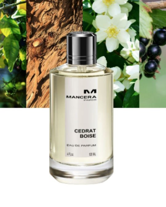 Image of MANCERA Cedrat Boise Unisex парфем