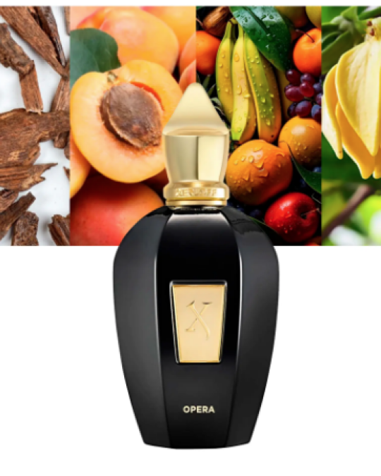 Image of XERJOFF Opera Unisex парфем 100мл