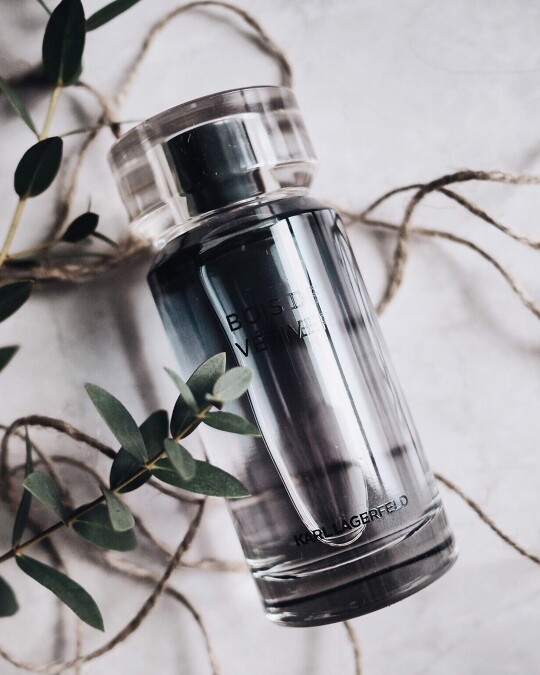 Image of KARL LAGERFELD Bois de Vetiver Homme тоалетна вода за мажи