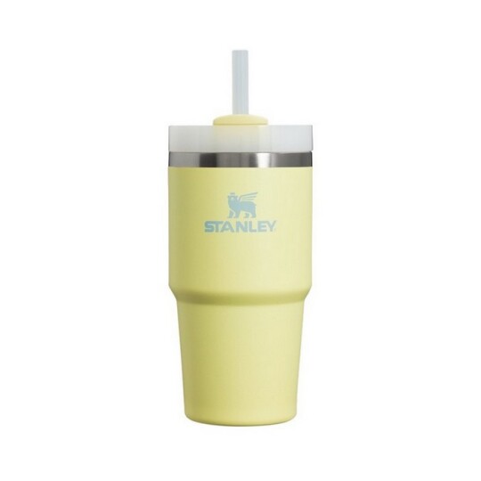 Image of Quencher H2.0 Flowstate™ tumbler | 0.6L – термос Pomelo
