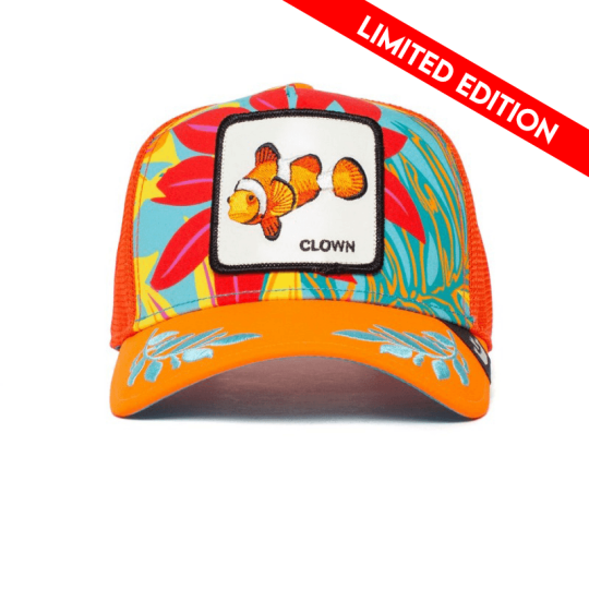 Image of Public Anemone, Orange - Капа