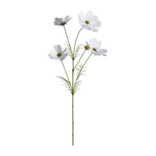 Image of Luminosa - декоративен цвет 67 см cosmea white