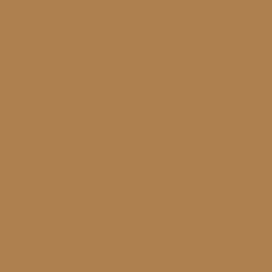 Image of Silver3D BrownBeige PLA
