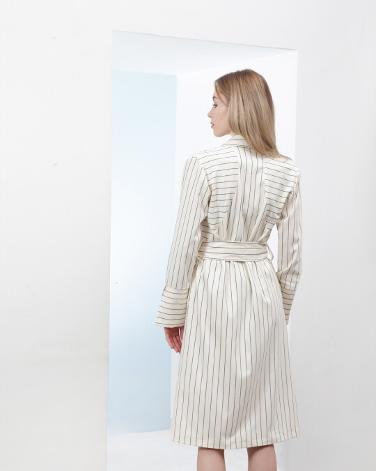 Image of Midi Shirt/Dress with stripes