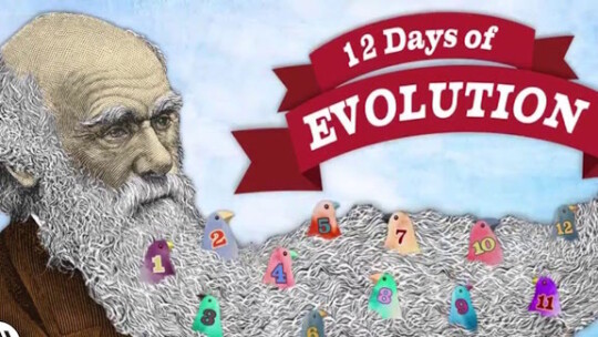 Image of Прочешлај ја брадата на Дарвин #1