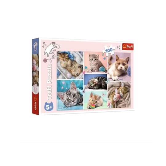 Image of Сложувалка - "100" - In the cat world