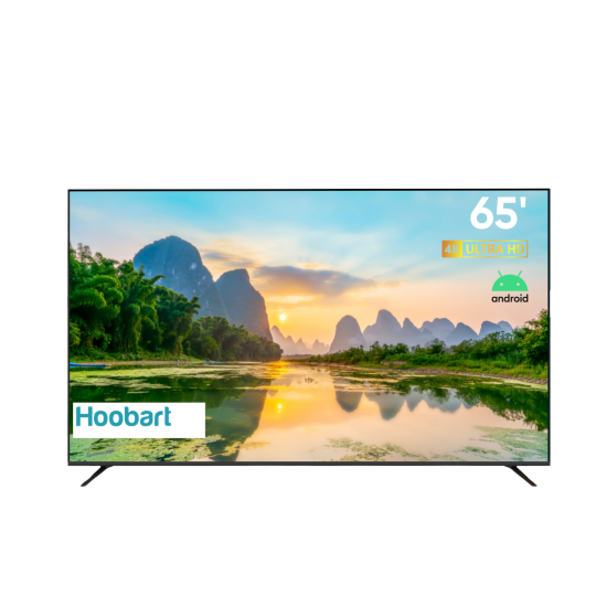 Image of TV HOOBART 65 DSU 620 AND T