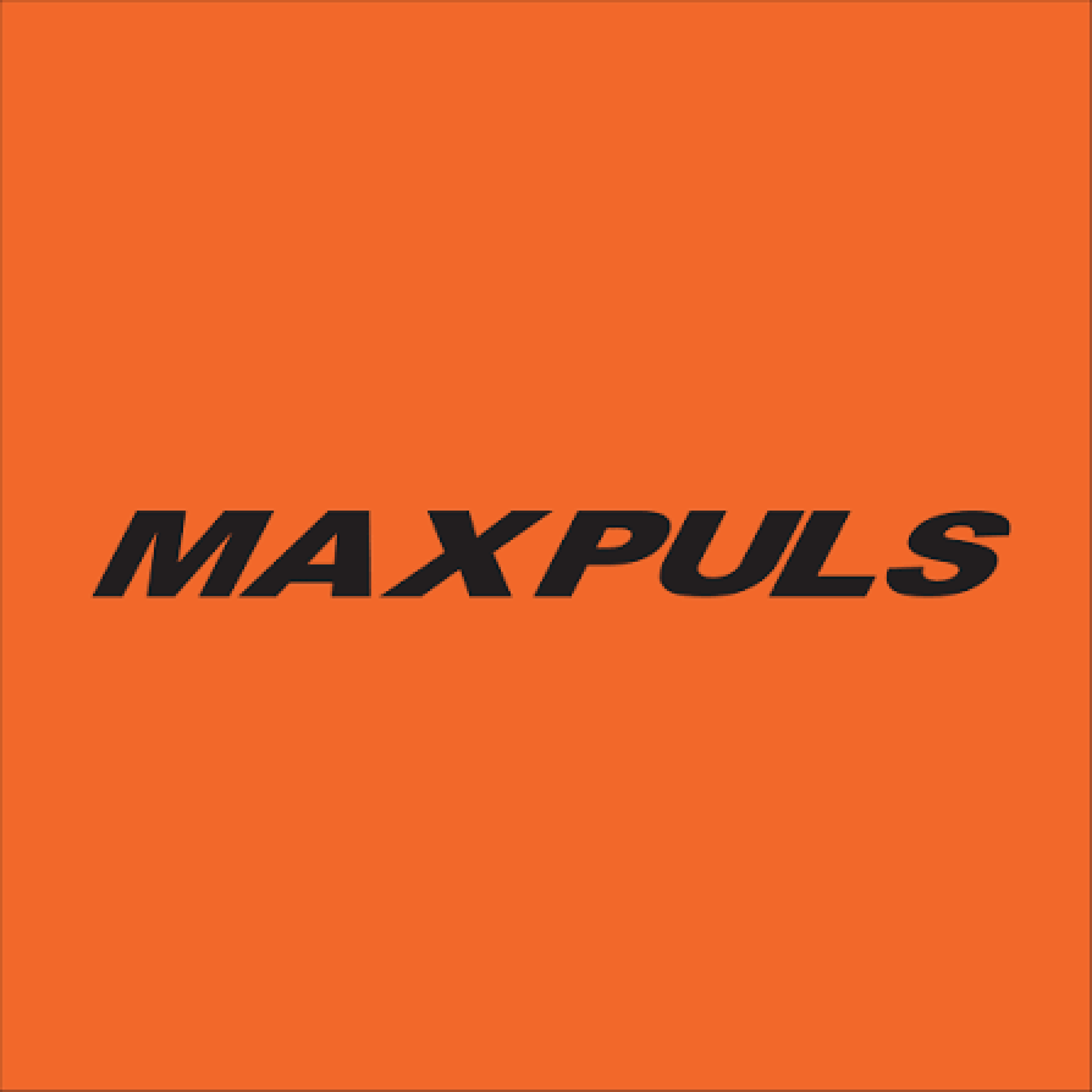 Max Puls