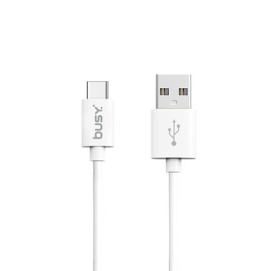 Image of Busy® Type-C USB PVC Cable 1m Charging 2A SYNC Speed to 480Mbps- 50696