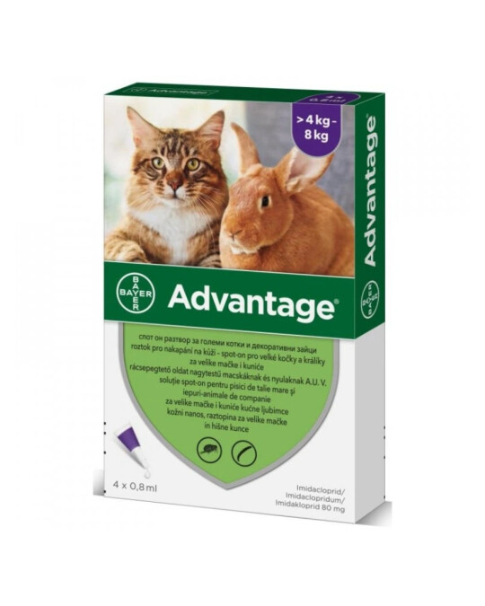 Image of ADVANTAGE 80 mg спот-он раствор за големи мачки и големи зајаци (домашни миленичиња)