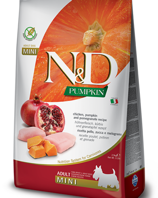 Image of CHICKEN AND POMEGRANATE ADULT MINI