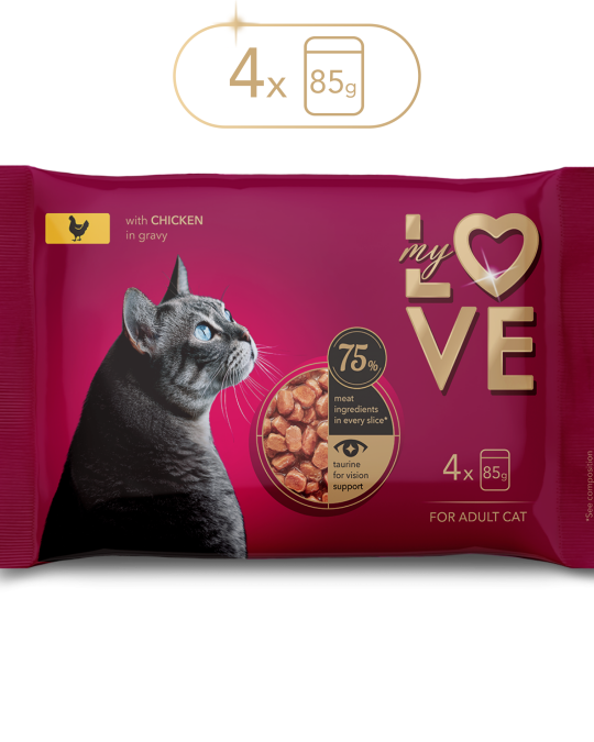 Image of My Love for adult cat with chicken in gravy