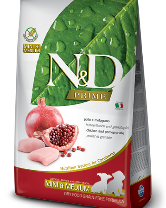 Image of CHICKEN & POMEGRANATE PUPPY MINI & MEDIUM