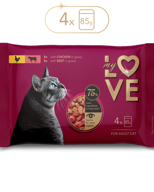 Image of My Love for adult cat with chicken and beef in gravy