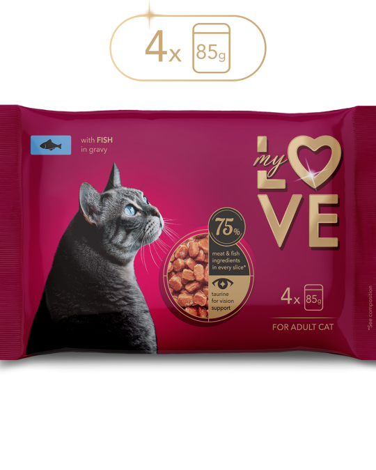 Image of My Love for adult cat with fish in gravy