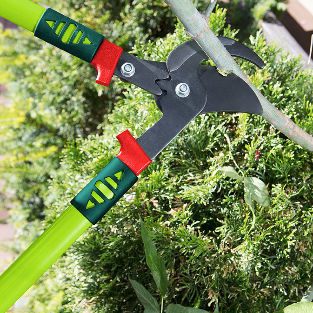 Product Image from the Gallery