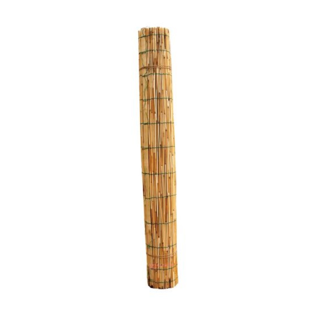 Product Image from the Gallery
