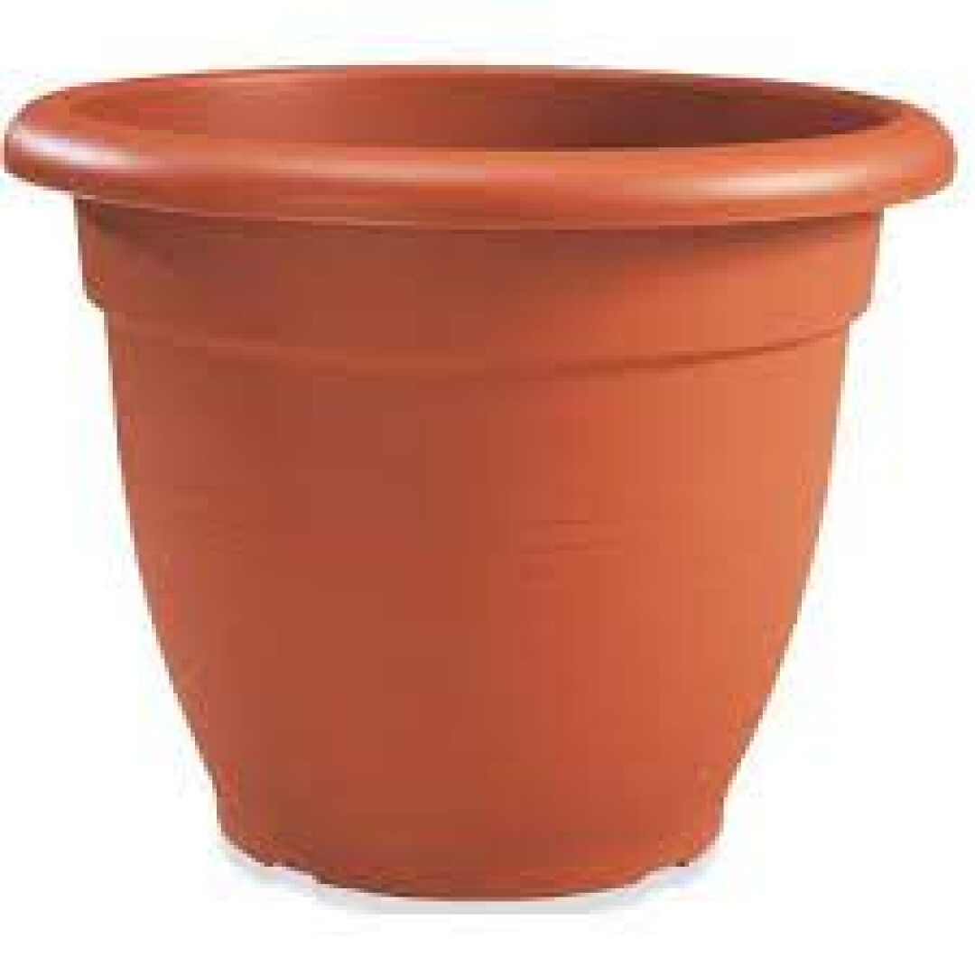 Product Image from the Gallery