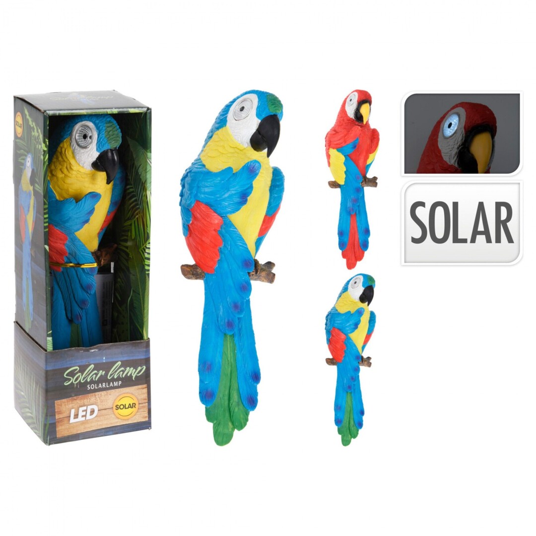 Product Image from the Gallery