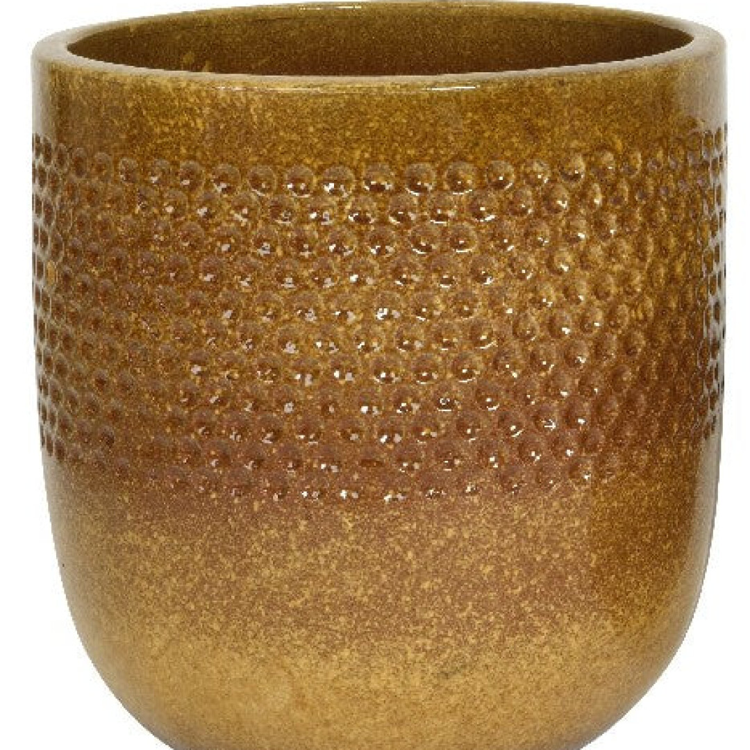 Product Image from the Gallery