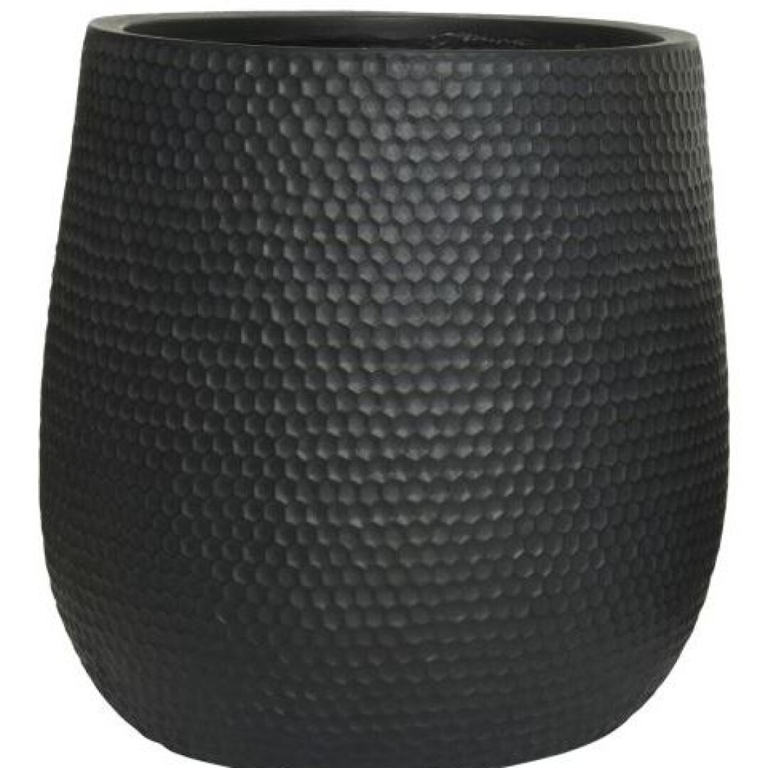 Product Image from the Gallery