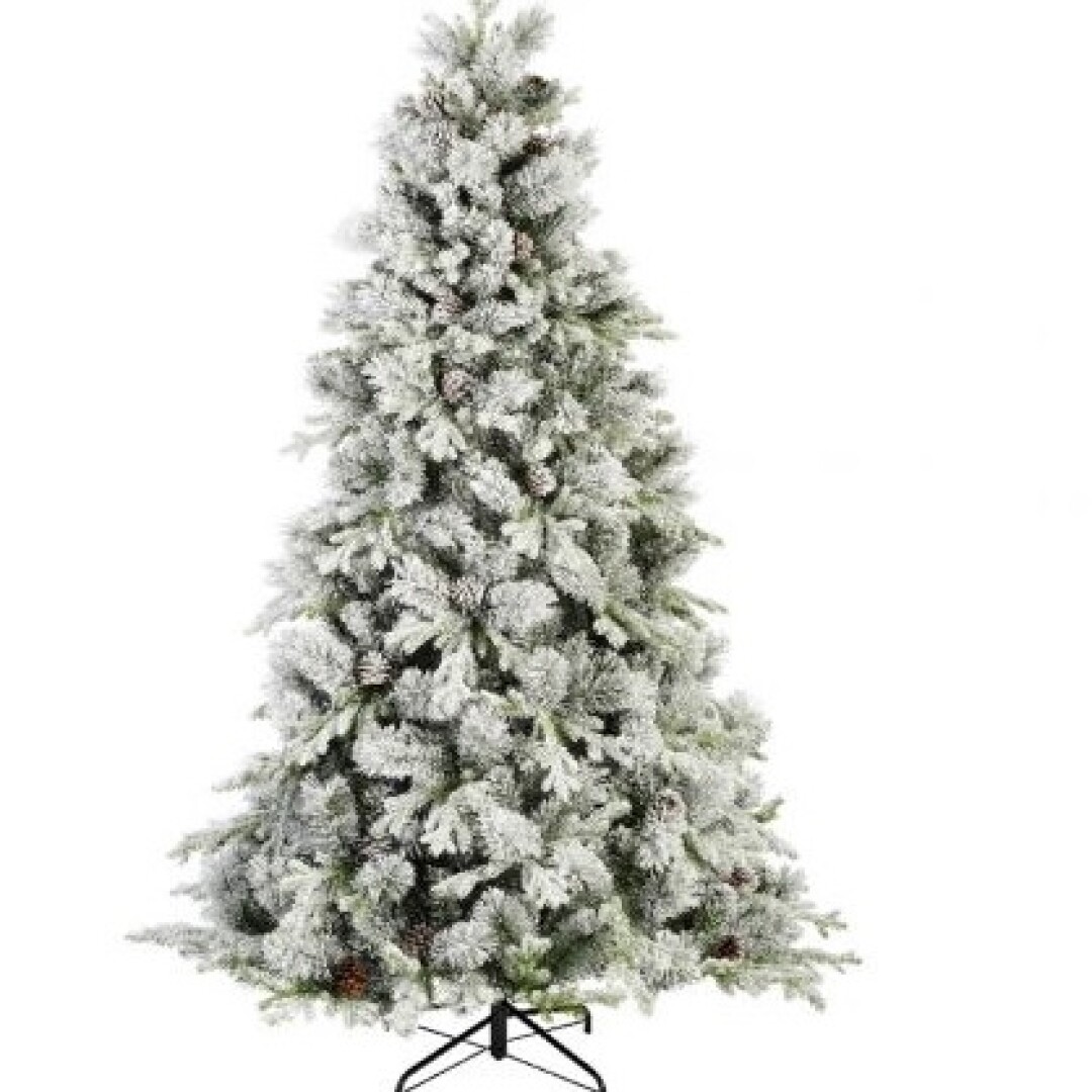 Product Image from the Gallery