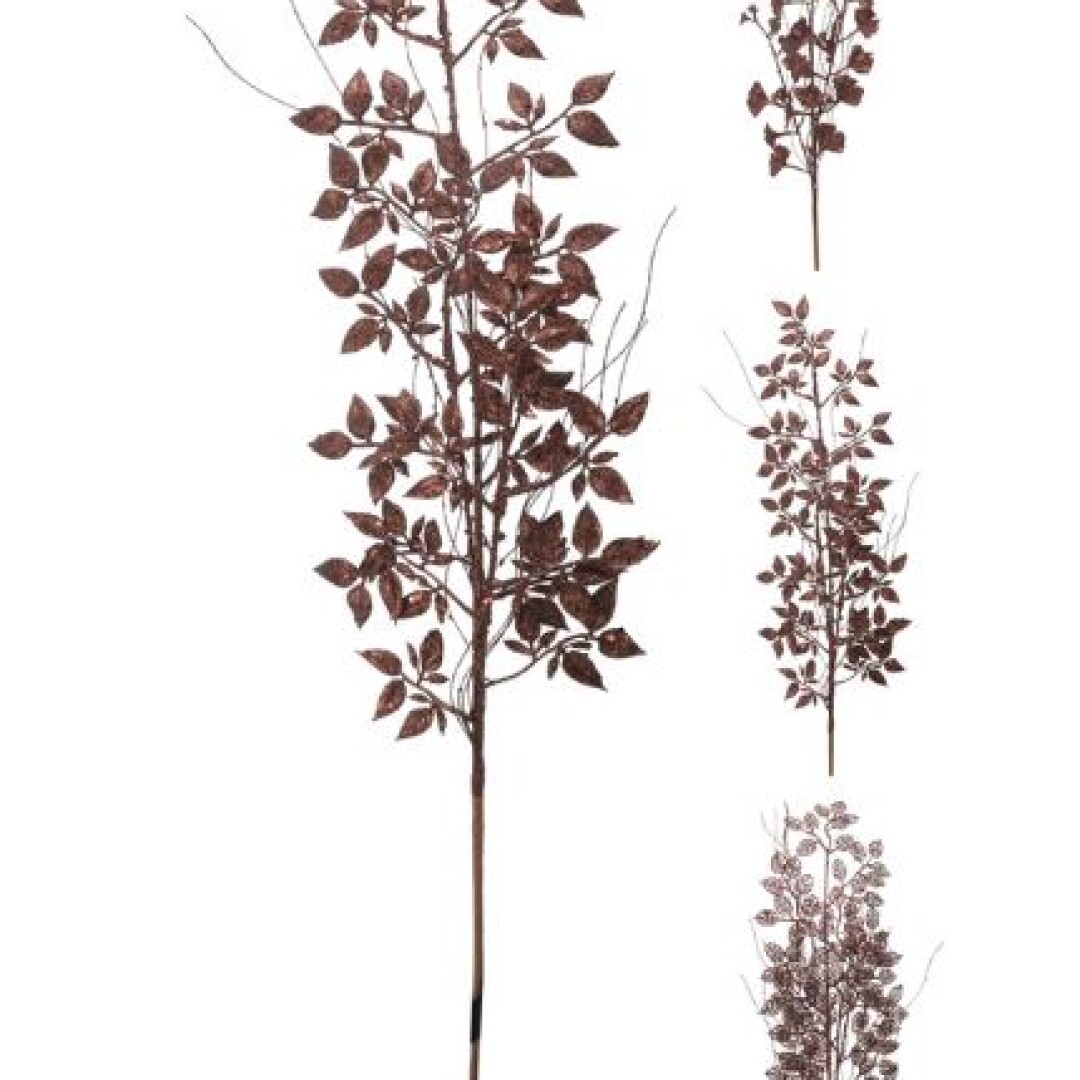 Product Image from the Gallery