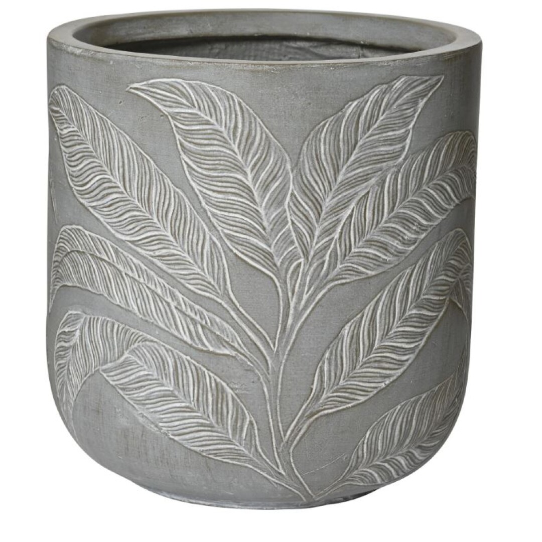 Product Image from the Gallery