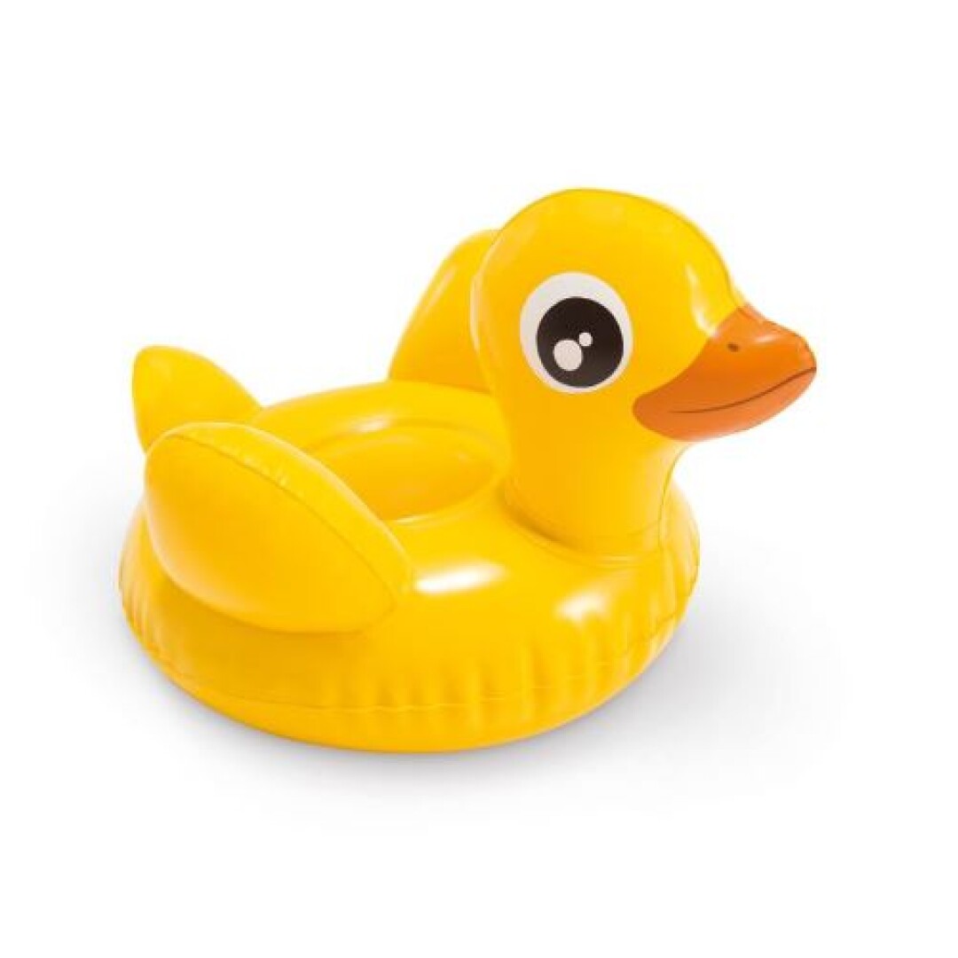 Product Image from the Gallery