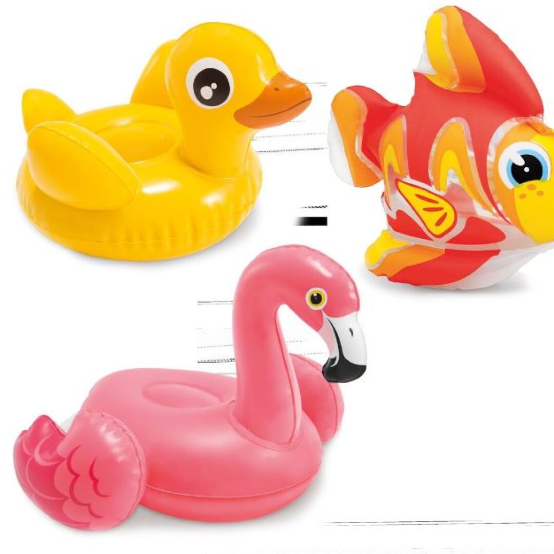 Product Image from the Gallery