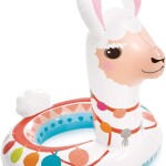 Product Image from the Gallery