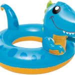 Product Image from the Gallery